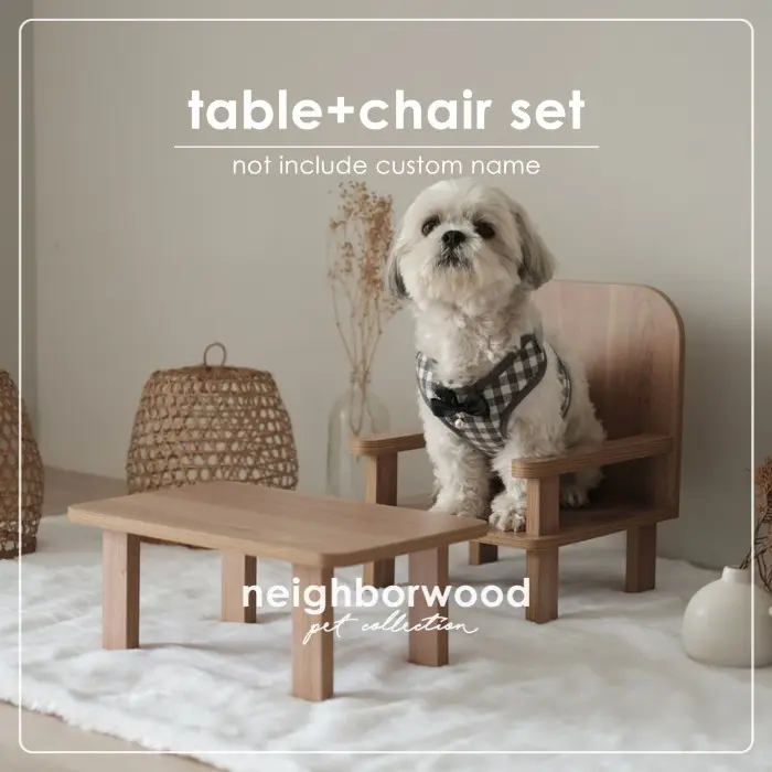 PROMO BIG SALE JUAL MEJA MAKAN + KURSI HEWAN (TABLE CHAIR SET) UNTUK ANJING & KUCING 0