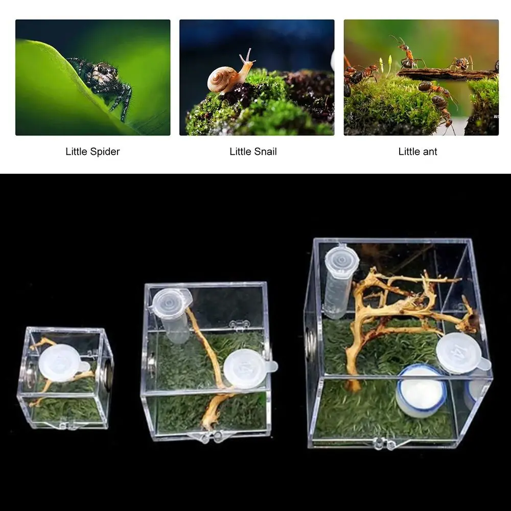 Professional Acrylic Spider Feeder Spider habitat Insect Box Breeding Cage Jumping Spider Breeding Box