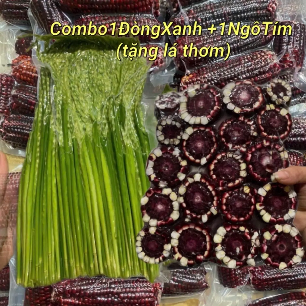 COMBO 1KG Trà Bắp Và 1KG Trà Đòng Xanh ngâm sinh tố (Tửu Ngon) Tea Chè