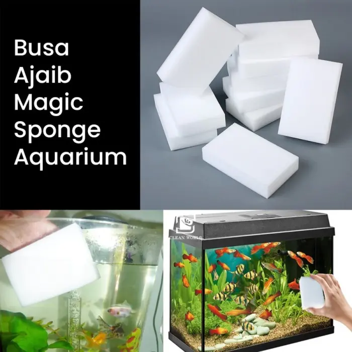 Busa Ajaib Penghilang Kerak Dan Jamur Pada Kaca Aquarium Aquascape