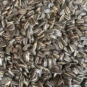 KUACI PAKAN HAMSTER FRESH BY HAMSTER TASIK