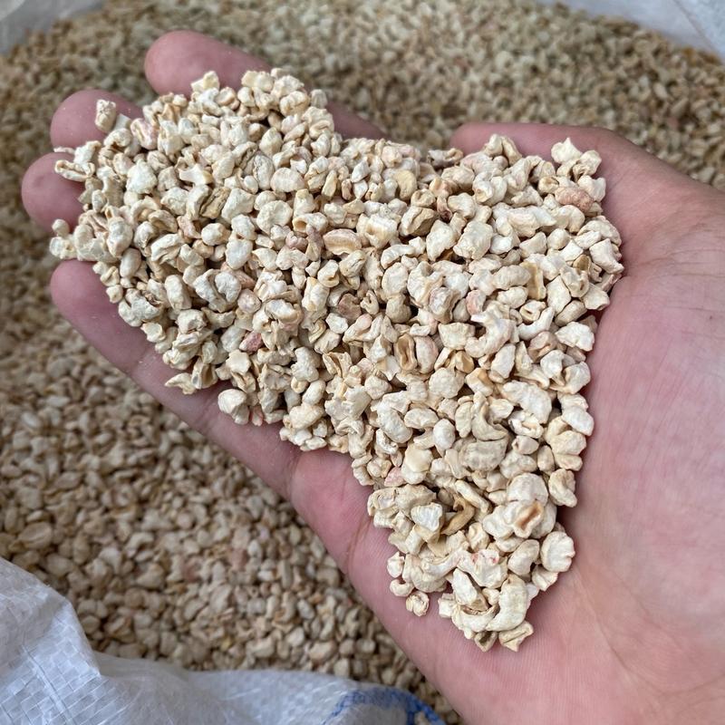 Cùi Bắp Lót Chuồng Hamster hút ẩm khử mùi an toàn