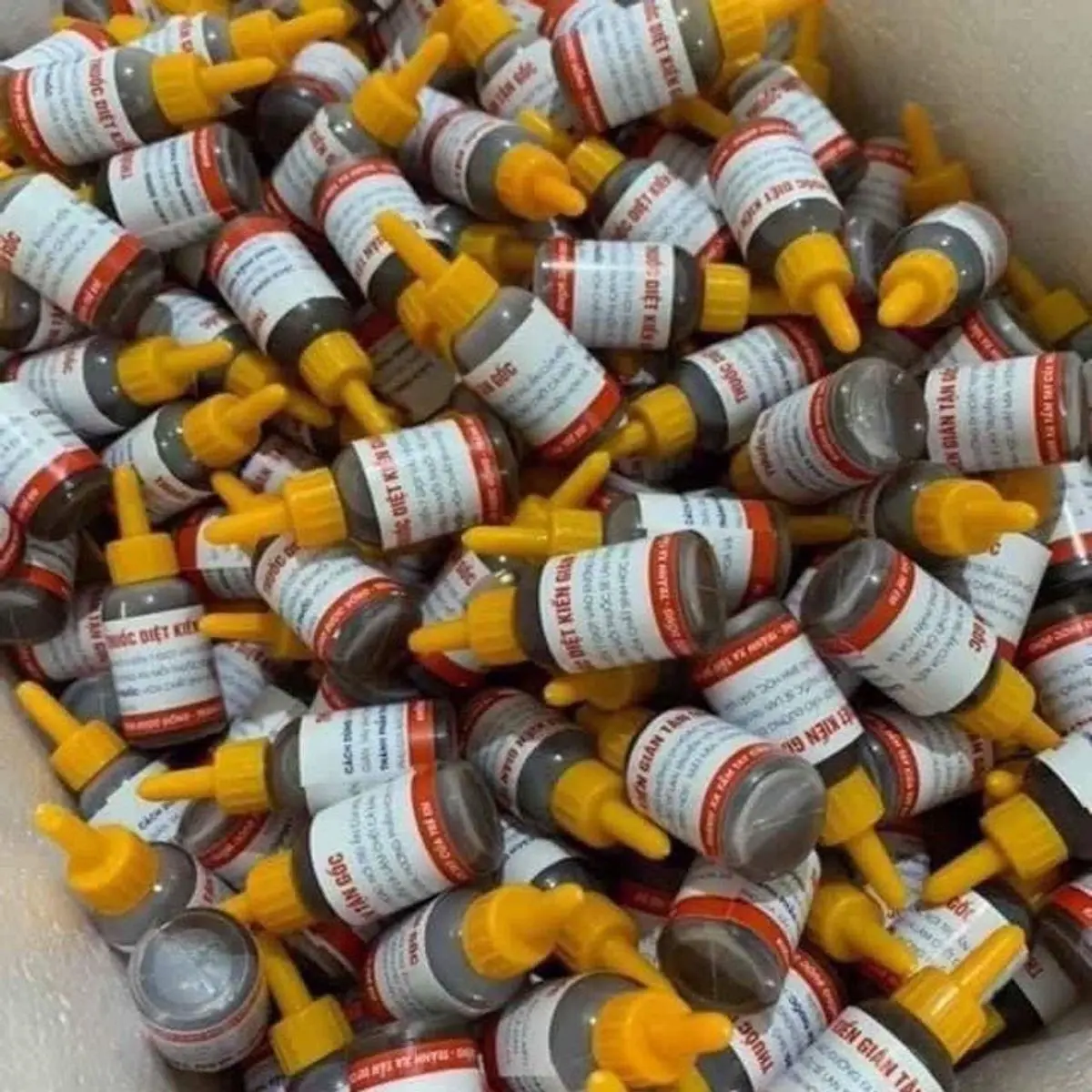 COMBO 10 LỌ THUỐC KIẾN TIỆN DỤNG