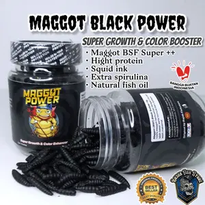 Maggot black power kemasan 30gr