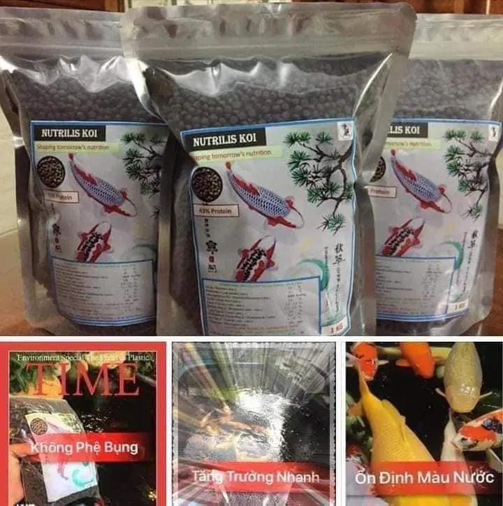 Thức ăn cho cá Nutrilis Koi 43% Protein
