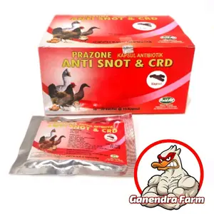 Obat Flu Entok - Anti Snot Unggas - Anti Snot Entok