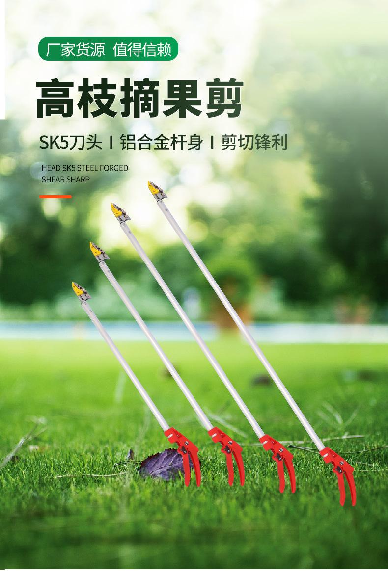 Product Introduction of Winda High Branch Fruit Picking Scissors Telescopic Fruit-Picking Device Gardening Scissor Litchi Longans Pomegranate Persimmon Picking Scissors Garden Tools 1