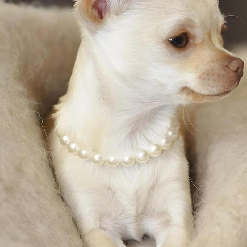 Cute Pet Pearl Necklace, 1 Count Pet Necklace for Small Dogs & Cats