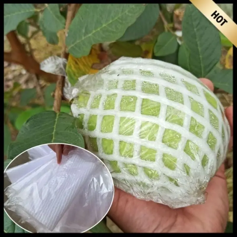 Applicable to 100 sets of guava fruit protection net covers, tree ...