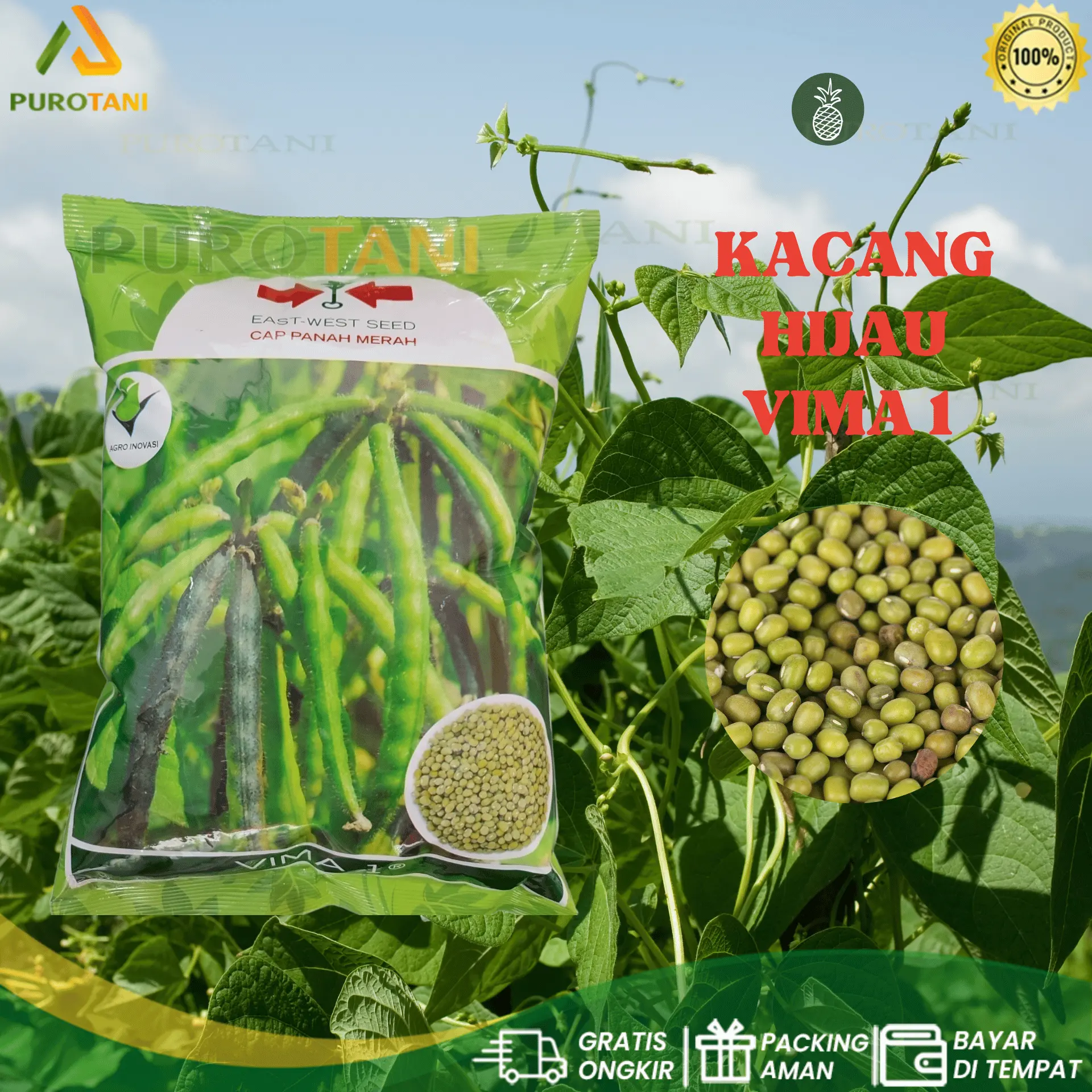 Benih Kacang Hijau VIMA-1 VIMA 1 Cap PANAH MERAH Kemasan 1 Kg