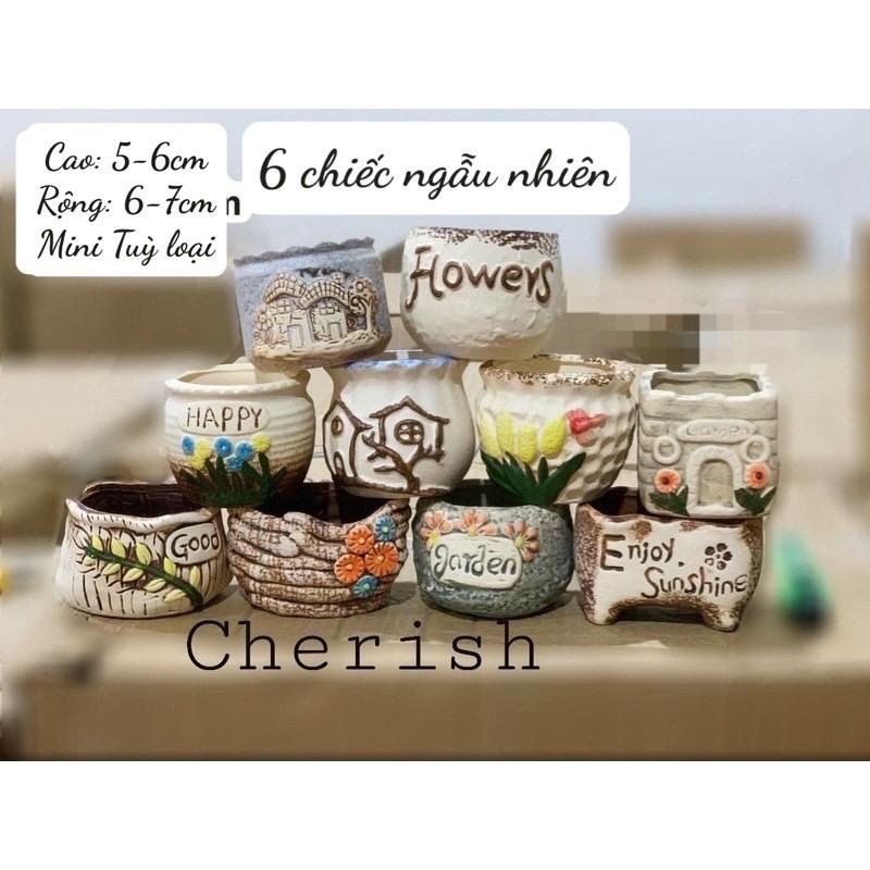 Combo 6 chậu mini trồng cây cảnh sen đá, xương rồng