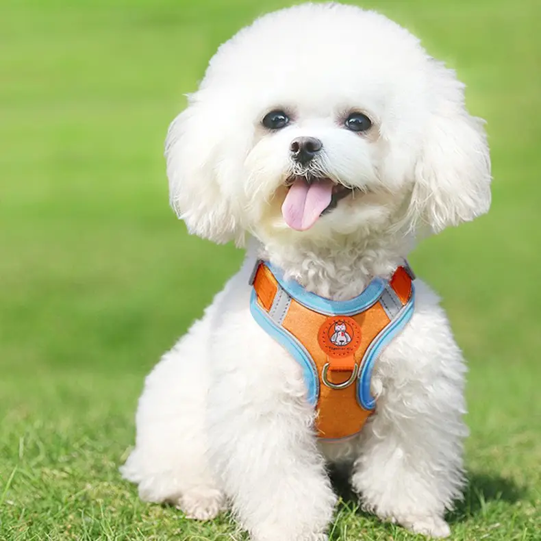 [2-14kg] Dây dắt cho thú cưng mặt cún chất liệu siêu mềm có viền phản quang chống lạc 5