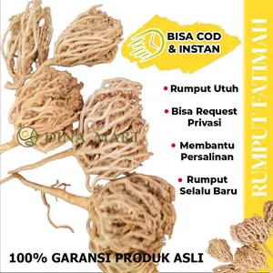 Rumput Fatimah Asli Arab Rumput Fatimah Untuk Persalinan Rumput Fatimah Original Rumput Fatimah Arab