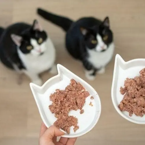 Makanan Basah Kucing MEO 80 GR Kemasan Pouch 3