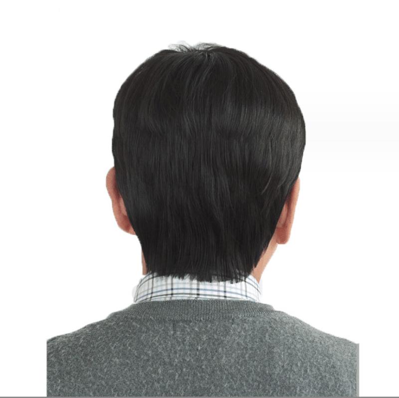 Product Introduction of Tóc giả nam, chất lượng cao cấp, thích hợp cho nam giới Trung Niên Wig 2