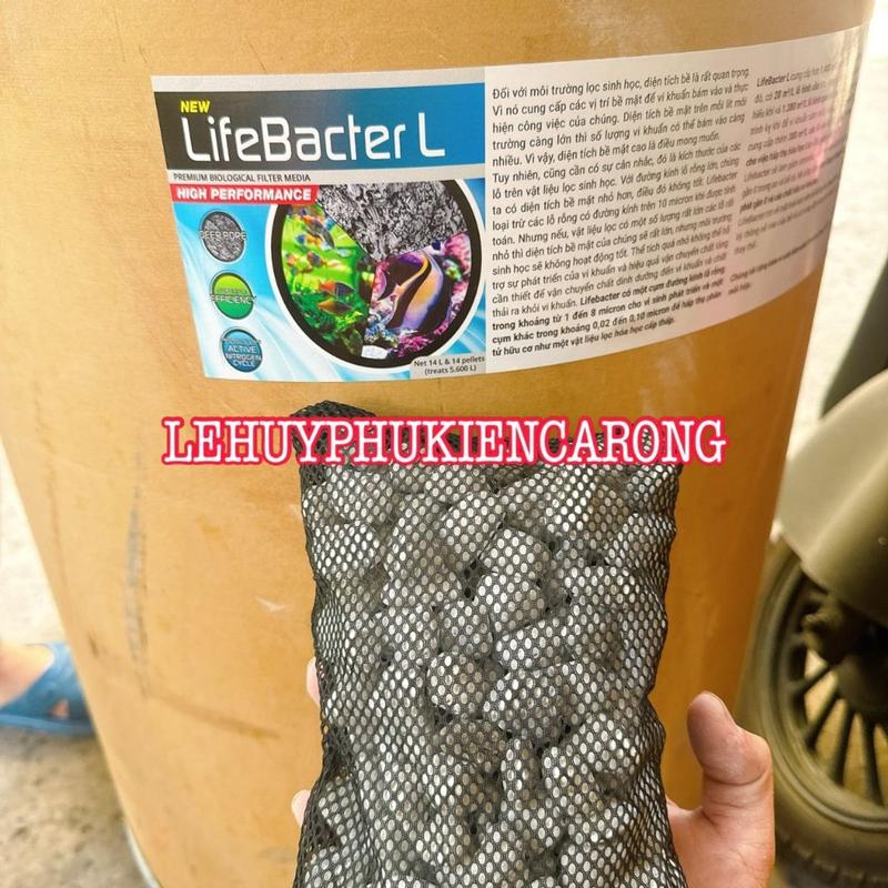 LifeBacter L Và M Chiết 1 Lít Kèm Túi Vật Liệu Lọc Giành Cho Bể Cá