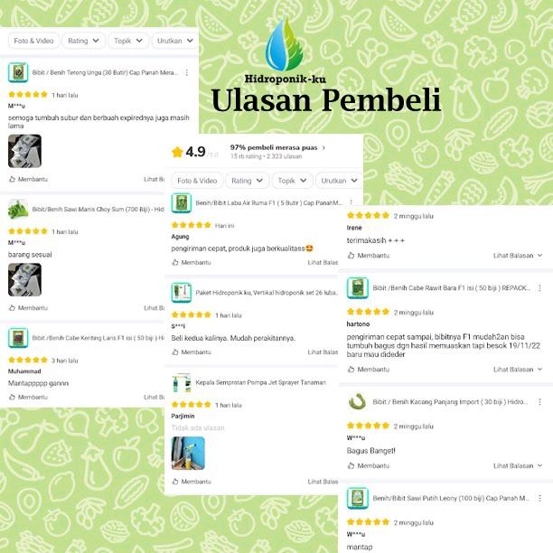 Bibit / Benih Timun Jepang Import (25 Butir) Hidroponik Ku 5