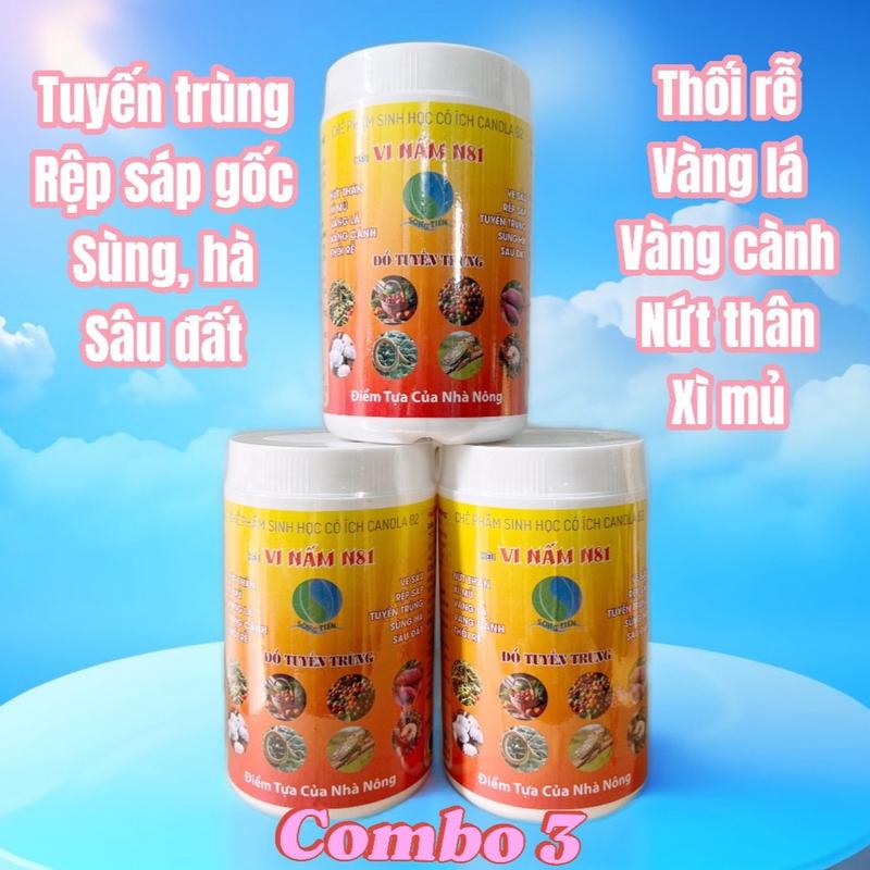 Vi Nấm N81 - Combo 3 - Săn Tuyến Trùng & Rệp Sáp Gốc - Cung Cấp Vi Sinh Vật Có Lợi Cho Đất - Hạn Chế Thối Rễ Vàng Lá Vàng Cành Chết Nhanh Chết Chậm Nứt Thân Xì Mủ