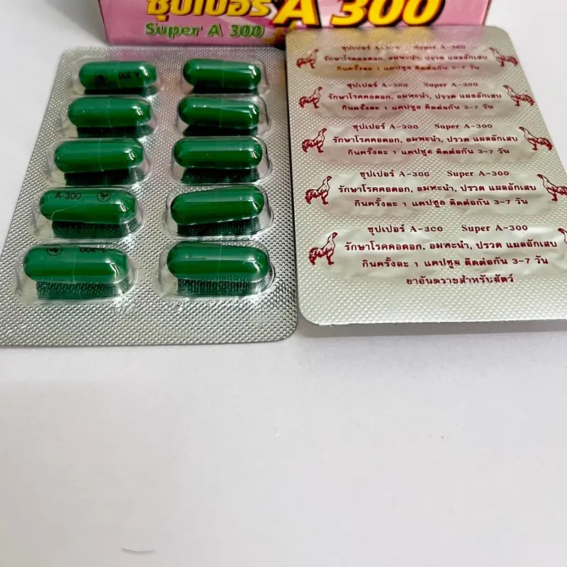 Tiêu Kén A300, Cho Gà Đá Gà Tre- Hàng Thái 3
