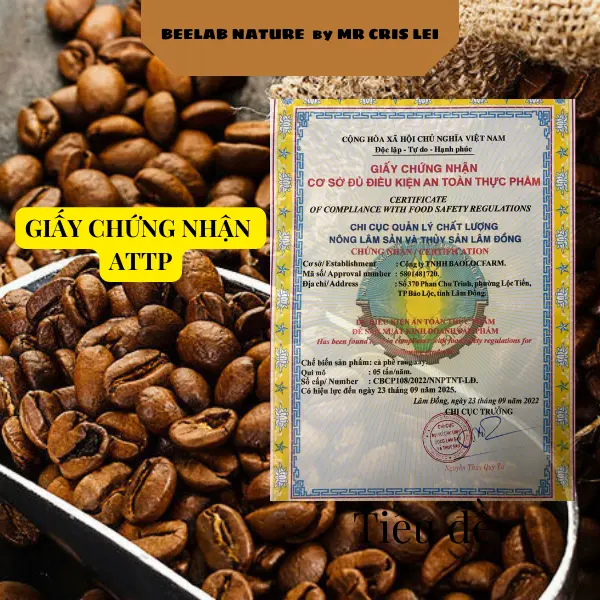 SỐ 3. MR.CRIS - Cà phê Coldbrew túi lọc Arabica Cầu Đất - Tiện lợi cho người bận rộn 20 túi x 12gr Cafe Coffee cafephin   white nescafe  white 5