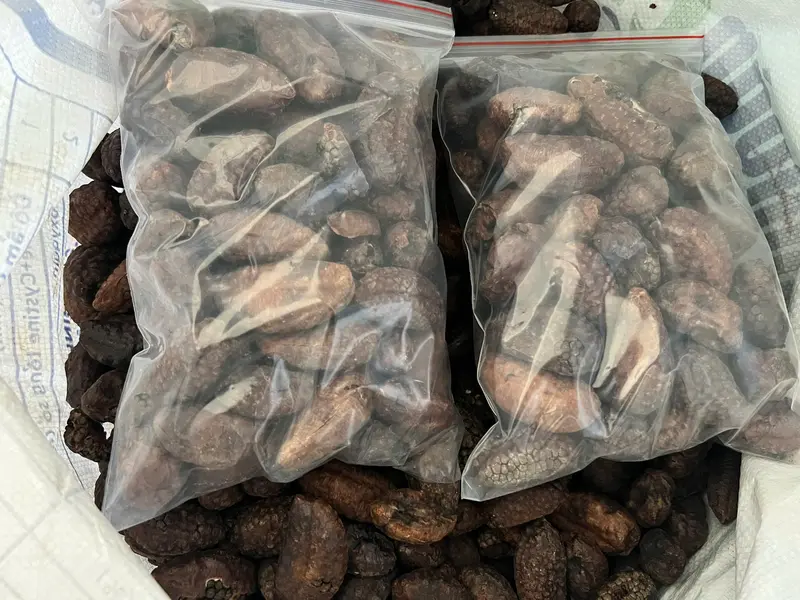 Combo 2kg chuối hột mật rừng Lai Châu khô tự nhiên 0