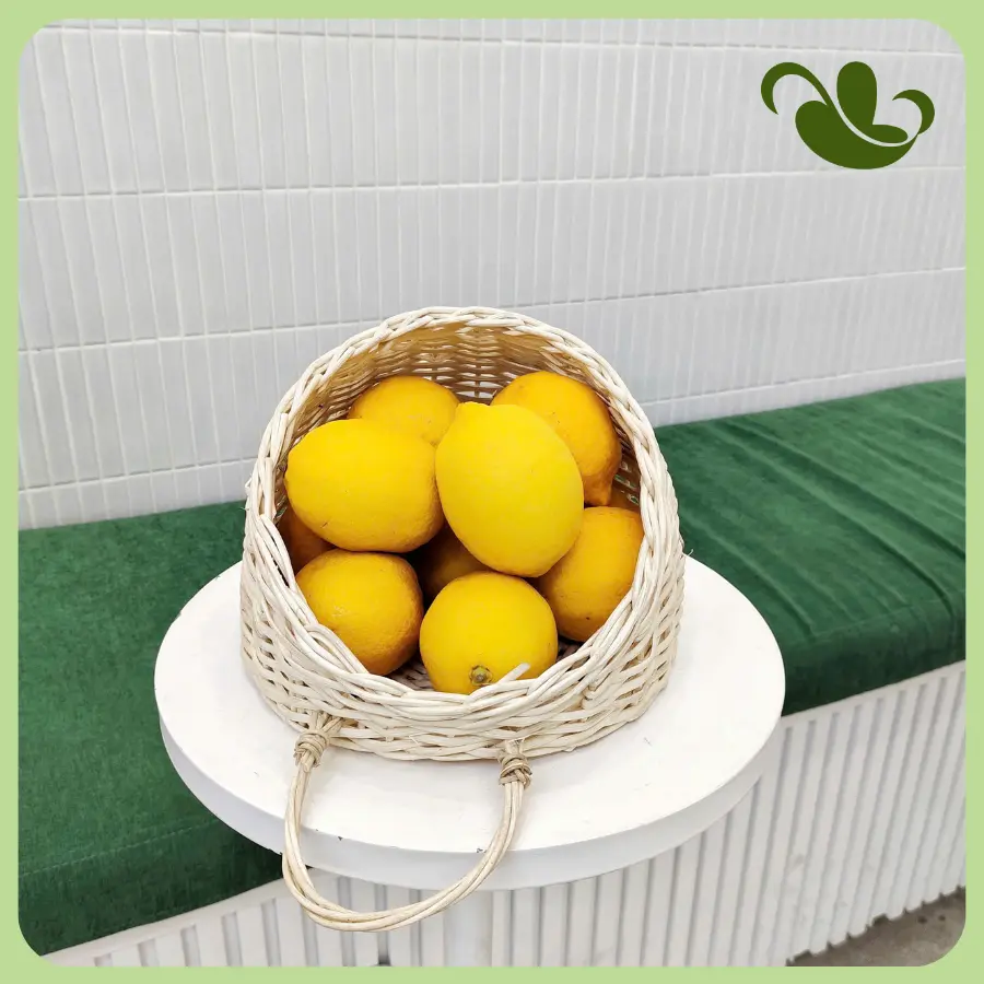 Cicin Garden - Chanh Vàng - 1kg