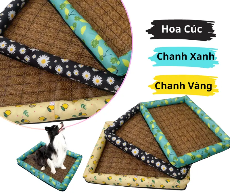 (Rẻ vô địch)Đệm Chiếu Điều Hoà nhiều màu sắc mới cho pet từ 2kg đến 35kg ,thoải mái , thoáng mát 0