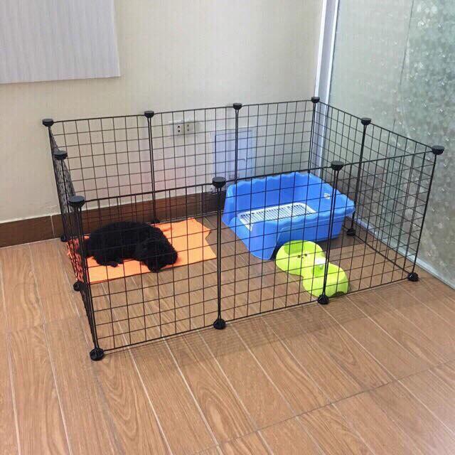   Chuồng Quây  Chó Mèo   nhiều mẫu mã  kích thước   