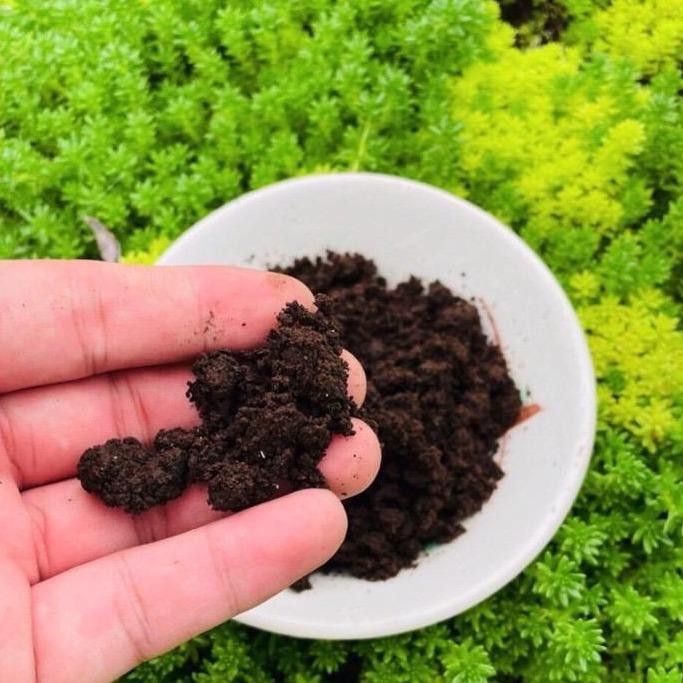 Phân trùn quế (1kg) SONDA GARDEN bổ dưỡng cho cây 2