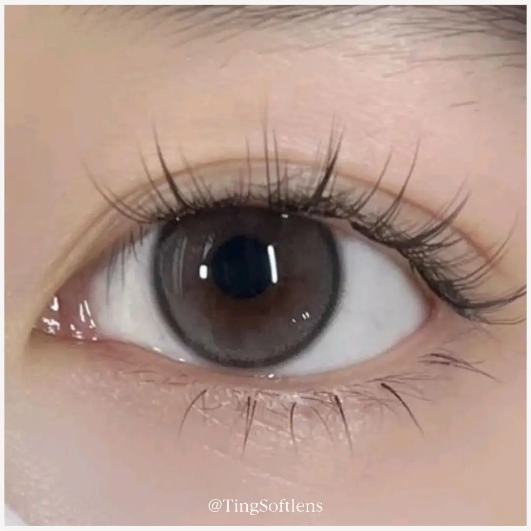 Softlens Mini Julia Grey Gray Abu Gelap Natural Korea Bisa Minus Normal Kitty Kawaii Free Lens Case Trendy Monthly Replace