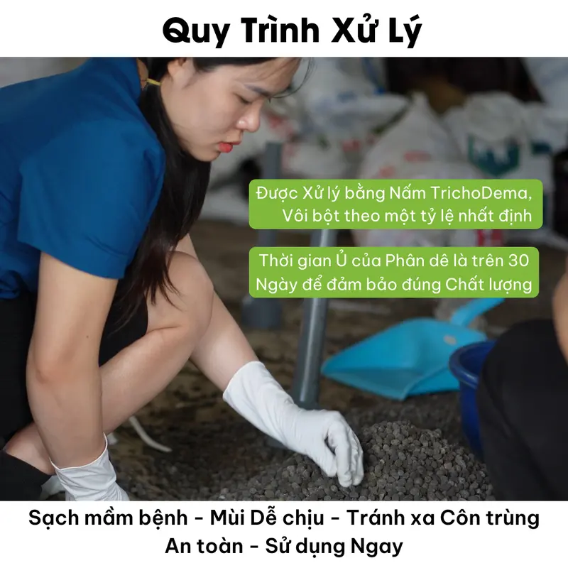 Phân dê trồng Hoa Lan, Túi lưới  20cm Đã xử lý, ComBo 50 Túi lưới 20cm ( tặng 1 kích rễ ) 3
