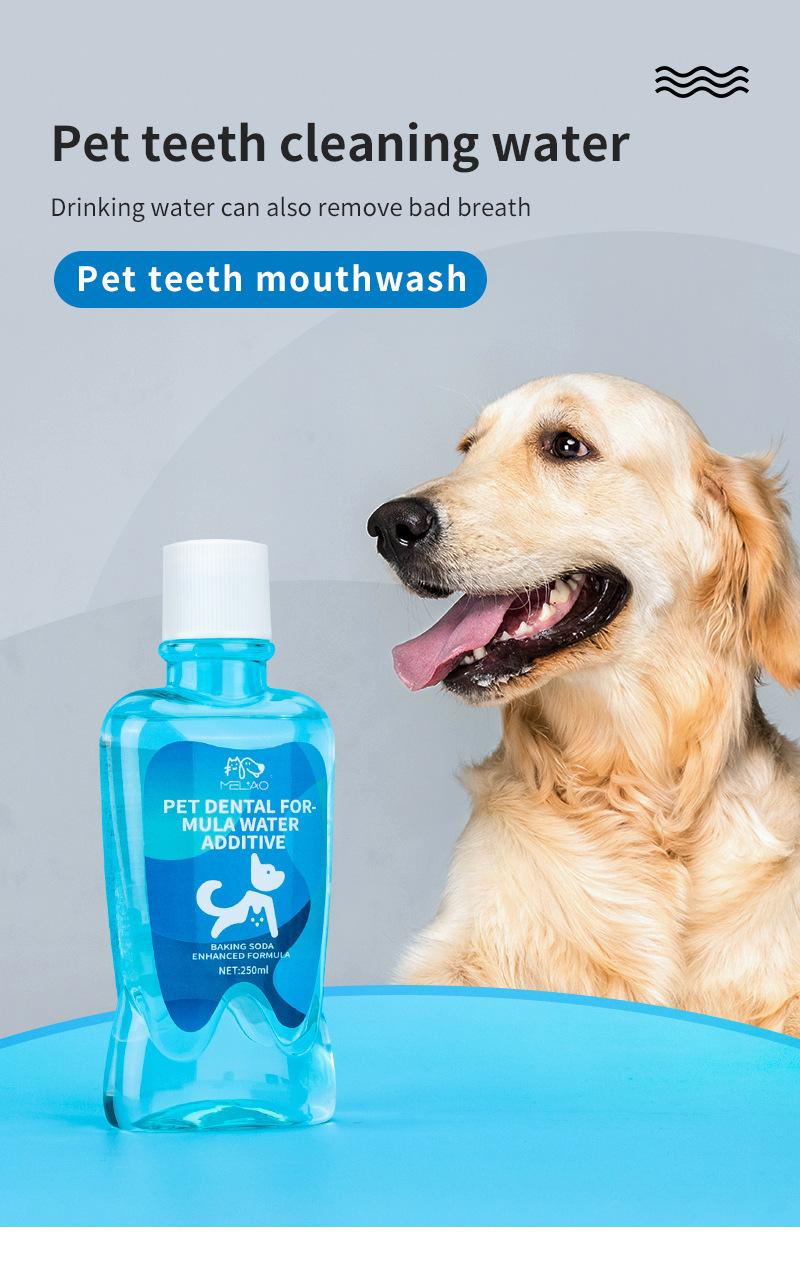 Product Introduction of Cecair Pencuci Mulut, untuk Anjing dan Kucing,  Nafas Bernafas Alamiah, Sesuai untuk Semua Peringkat Umur, Penjagaan Nafas Segar, Air Pembersihan Gigi，No  paw toothbrush required 17