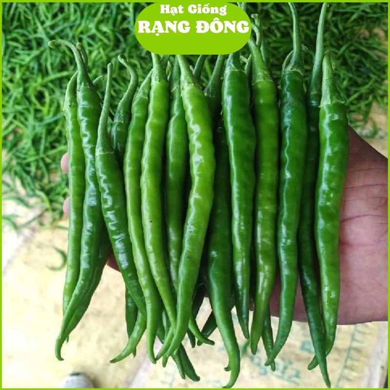 Hạt Giống Ớt Ngọt Trái Dài RD 539 (Gói 0.2gr - Khoảng 25 Hạt) Trái to dài, năng suất cao, trồng quanh năm