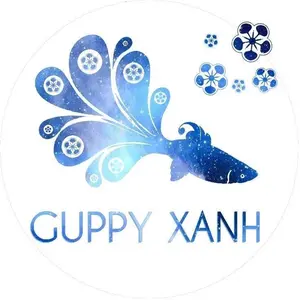 GuppyXanh