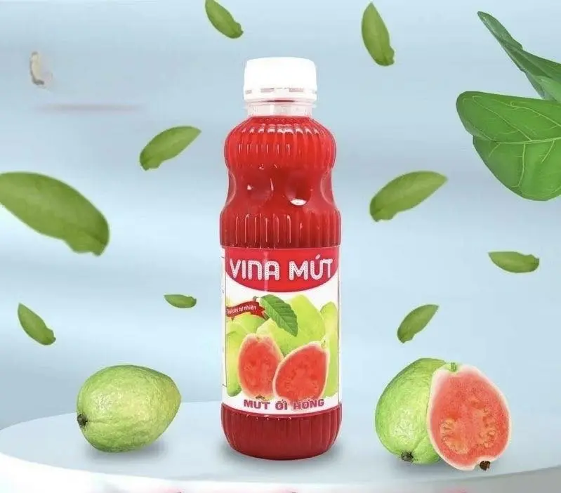 Sinh Tố VINA Mứt Nhiều Vị 6