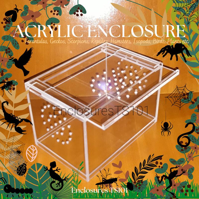 Acrylic Enclosures Cages Box Terrarium for Tarantula Reptile - TikTok ...