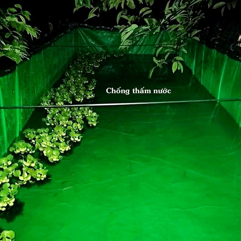 Bể bạt nuôi ốc ếch lươn cua hoặc bể tắm cho bé nhiều kích thước 6
