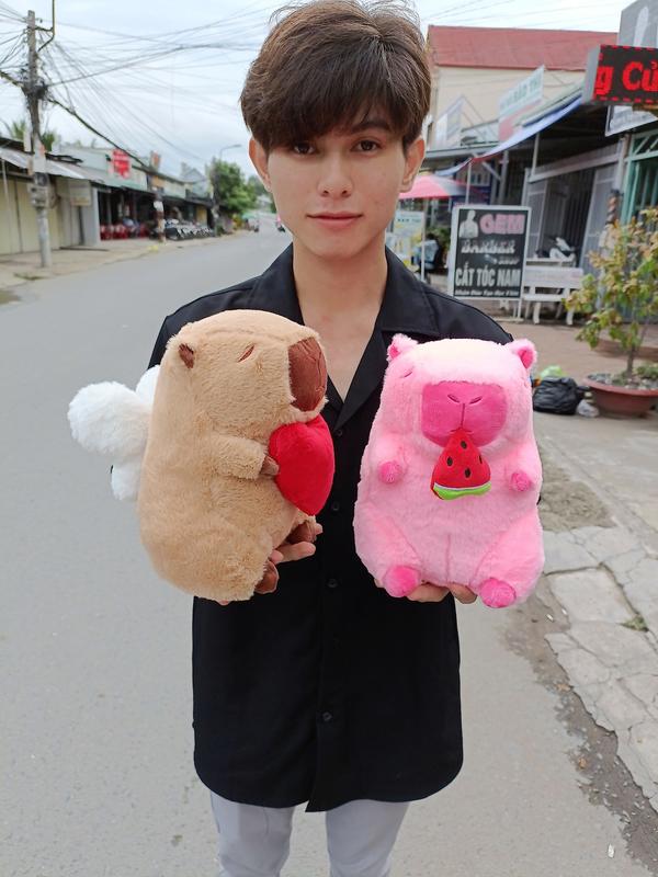 Gấu Bông Chuột Capybara Size Mini Đủ Mẫu