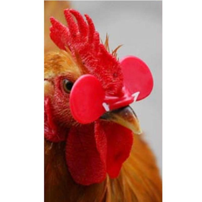 Product Introduction of 1000 Sets Reusable 1-2.25kg Poultry Chicken Pecking Eye 0