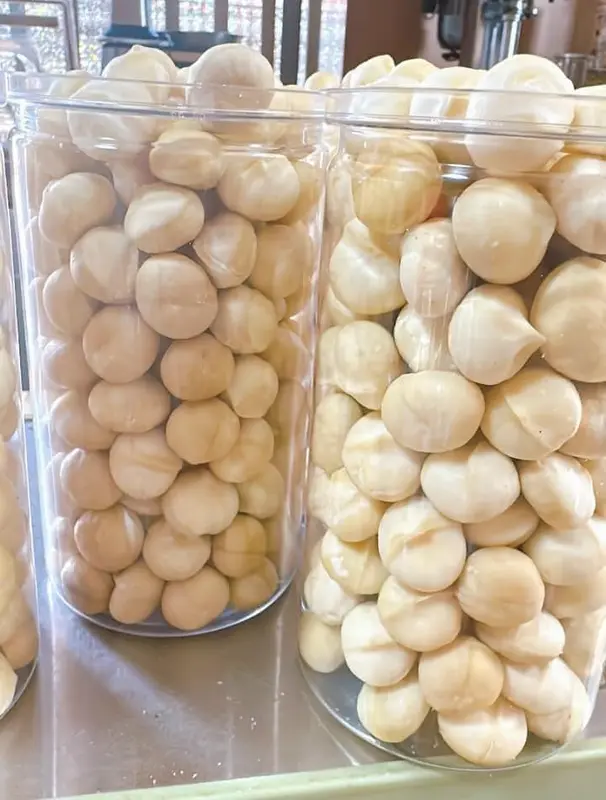 500gr/250gr Macca Dak Lak Nguyên Hạt Đã Sấy Ăn Liền, Nấu Sữa, Dinh Dưỡng Cho Mẹ Bầu Kim Anh Nuts - Food, Snack 2
