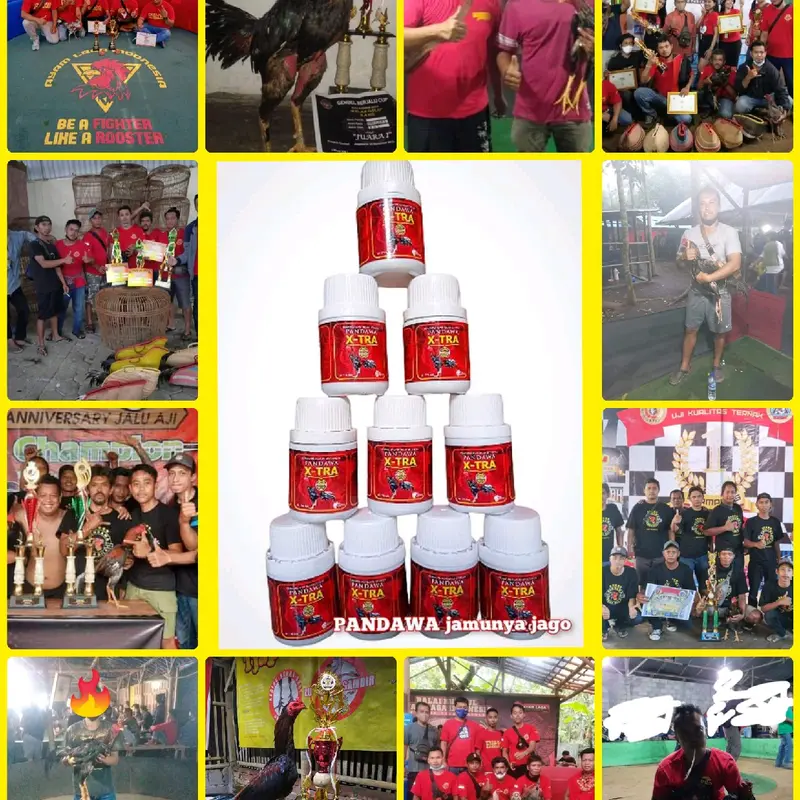 Jamu jago PANDAWA X-TRA 175pill 1