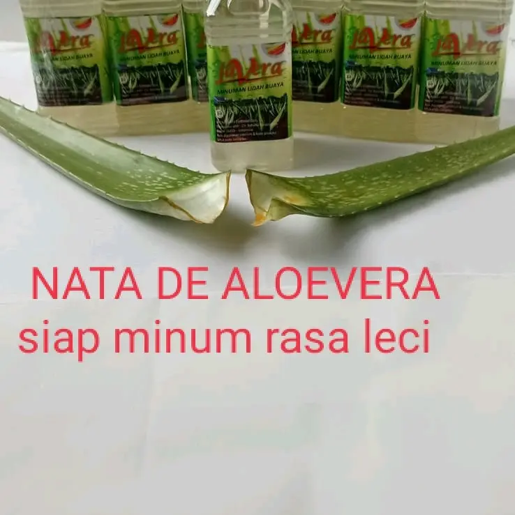 minuman lidah buaya aloevera rasa leci Organik Rendah gula Botol Alami 1