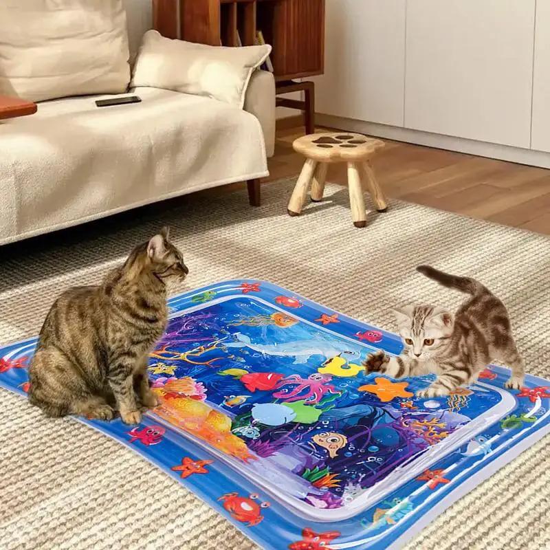 Sensory Water Mat Thickened Sensor Play Water Sensor Cat Mat Pet ...
