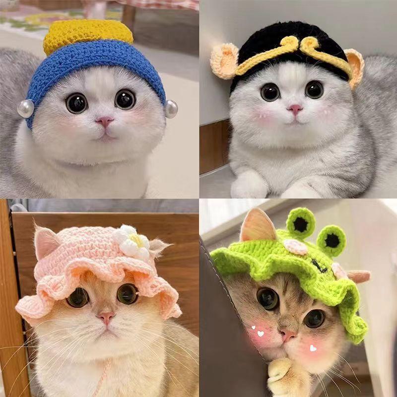 Topi Kucing, Penutup Kepala Kucing Haiwan Peliharaan, Tenuna - TikTok ...