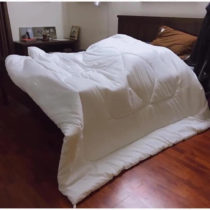 Ruột chăn đông kích thước 2mx2m2 kèm túi xách chăn  phao 0