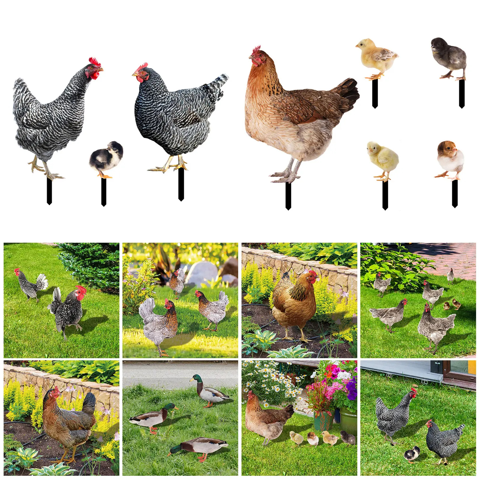 Rooster Hen Decorative Garden Stakes Outdoor Garden Decoration Animal Chicken Stake for Yard Outdoor Lawn Ornaments