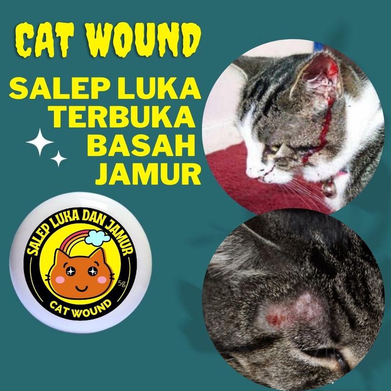 Product Introduction of SALEP LUKA LUAR BASAH DAN JAMUR KUCING ANJING AMAN TERJILAT 8