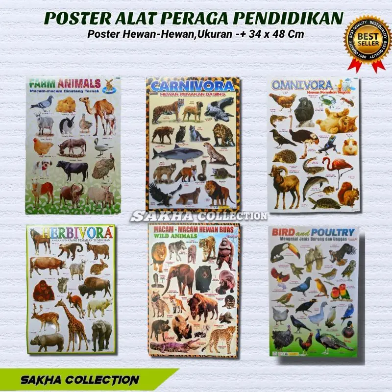Grosir Poster Edukasi Pengenalan Hewan Ternak/Herbivora/Karnivora/Omnivora/Serangga tempelan dinding