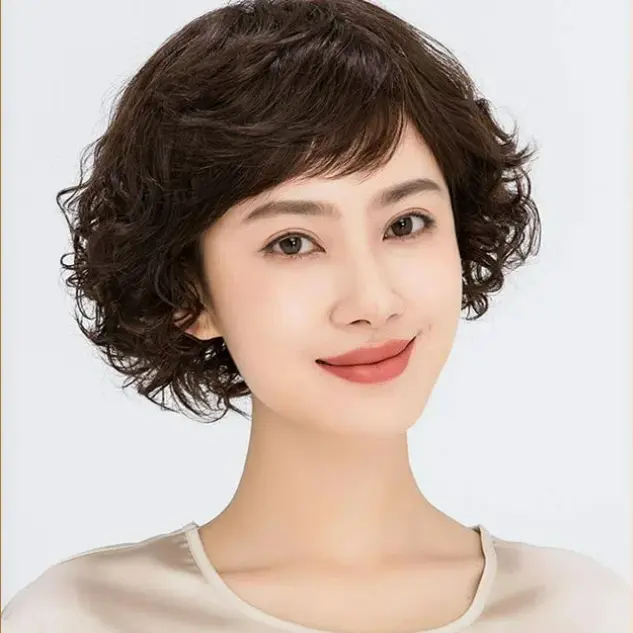 Wig for Women, Women's Full Head Wig, Mother Style Wig,  Short Curly Hair, Full Top Wig, Middle-aged and Elderly Short Curly Hair