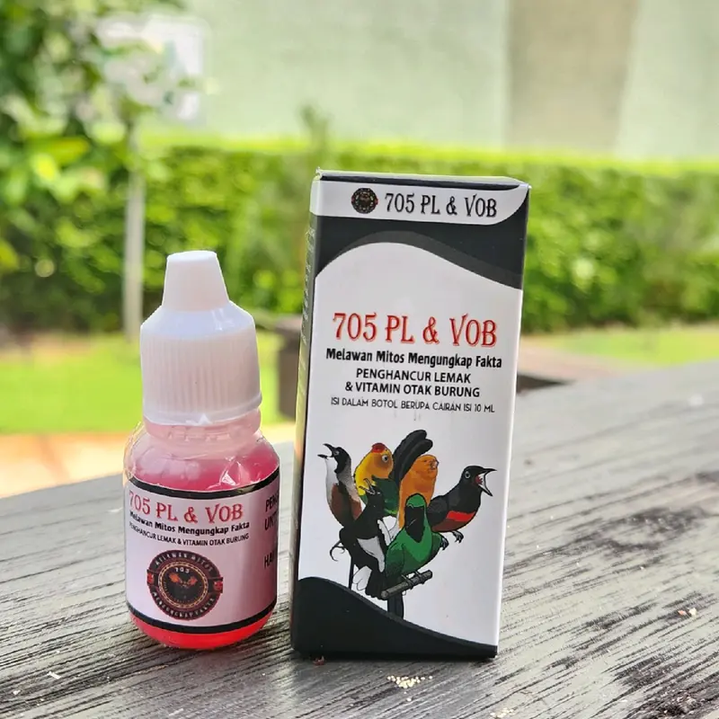 705 PL & VOB PENGHANCUR LEMAK DAN VITAMIN OTAK BURUNG 0